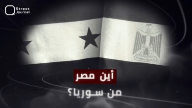 أين مصر «الصامتة» من سوريا؟