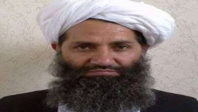 زعيم طالبان يحظر زراعة الحشيش