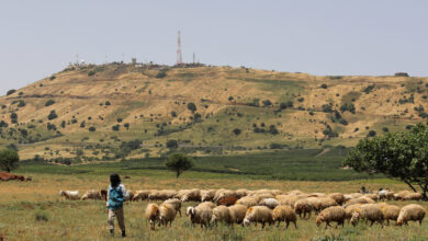 الثروة الحيوانية في سوريا