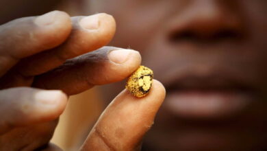 مسح يظهر وجود 31 مليون طن من الذهب الخام في دولة إفريقية