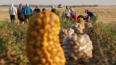 العراق يدعو لإطلاق سوق مشتركة بين الدول العربية