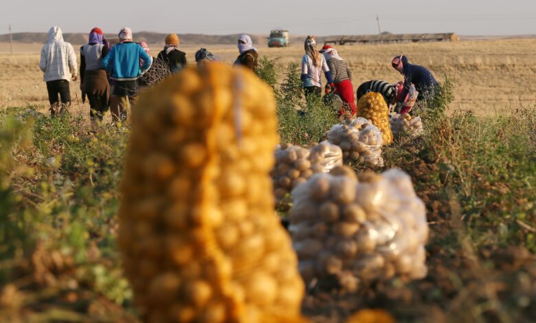 العراق يدعو لإطلاق سوق مشتركة بين الدول العربية