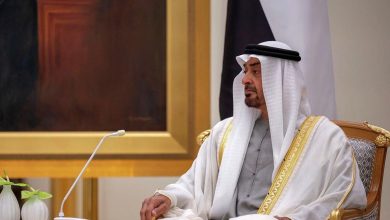 رئيس الإمارات يقود مروحية في جولة حول بلاده