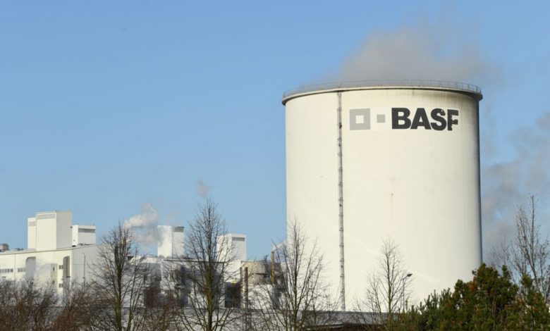 شركة الكيماويات الألمانية BASF