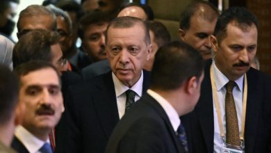 لماذا صافح أردوغان السيسي؟