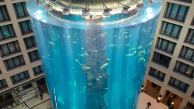 تحطم أكبر حوض أسماك في العالم