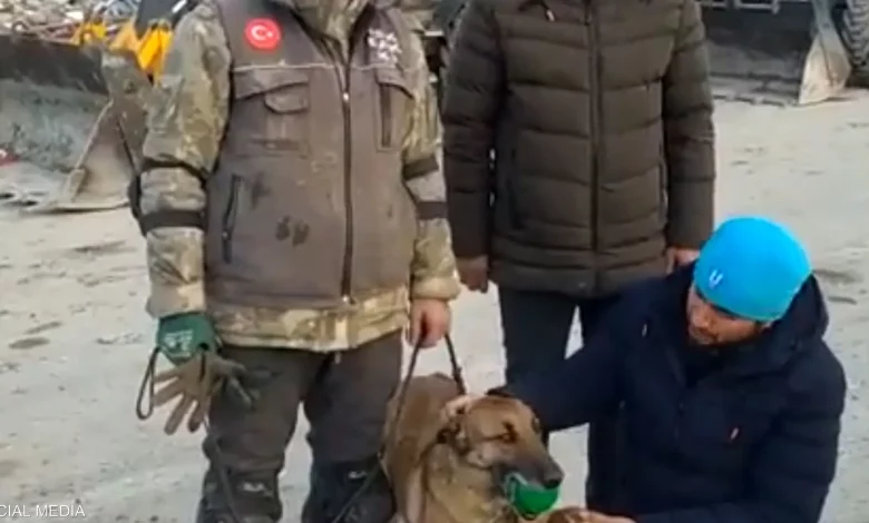 الكلبة "سيلا" عثرت على 12 شخصاً تحت الأنقاض في تركيا