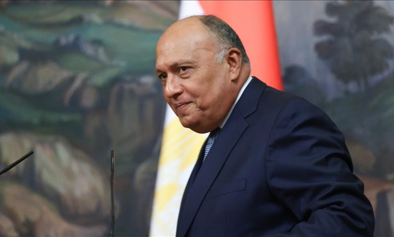 رويترز: وزير الخارجية المصري يزور سوريا غداً الاثنين