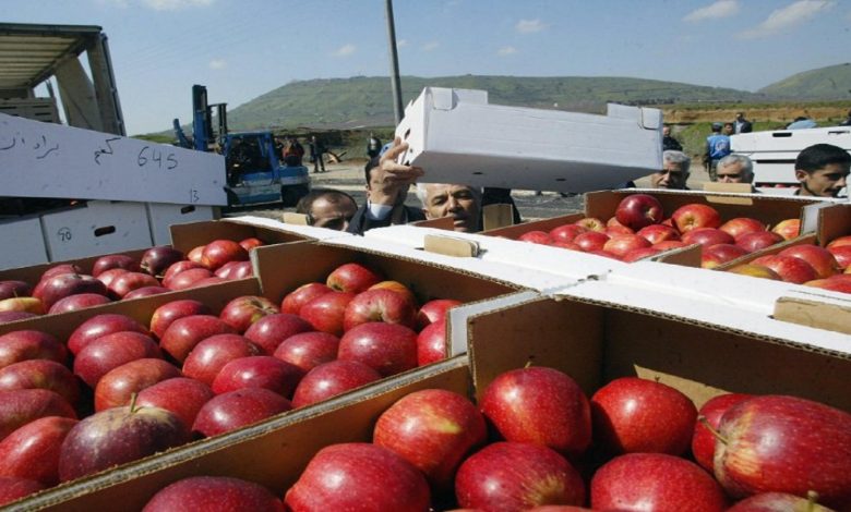 التفاح السوري يصل إلى 15 دولة عربيّة