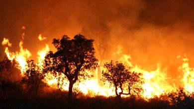 حرائق دمّرت أكثر من 4000 هكتار في إسبانيا