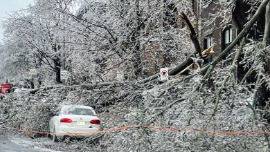 قتلى وانقطاع الكهرباء عن مليون شخص بعد عاصفة ثلجية في كندا