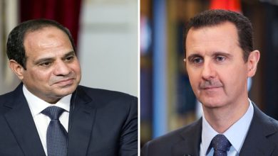 الأسد والسيسي
