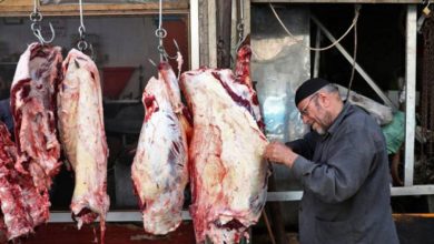 التهريب يرفع أسعار اللحوم في درعا !