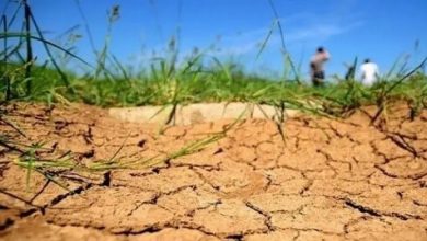 المغرب يواجه أسوأ موجة جفاف منذ أربعة عقود