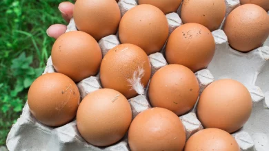 مليارين و٥٠٠ مليون مبيعات البيض في طرطوس لعام 2023