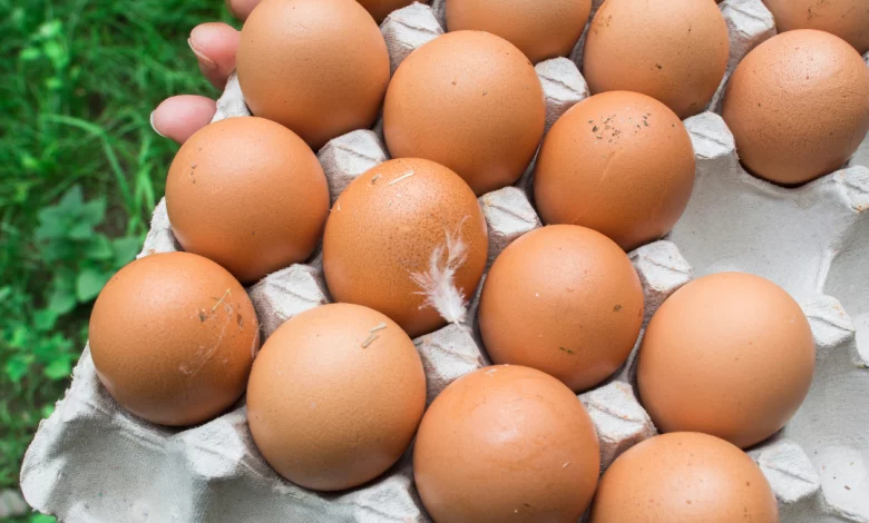 مليارين و٥٠٠ مليون مبيعات البيض في طرطوس لعام 2023