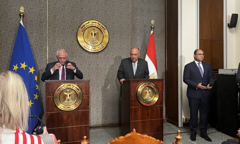 تعليق مصري على إلغاء الاجتماع "العربي - الأوروبي" بسبب سوريا