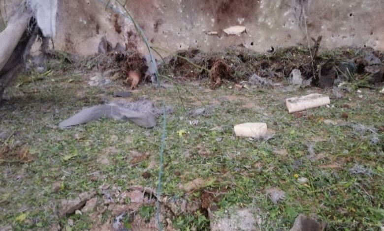 شهيدان "طفل وامرأة" جراء هجوم بطائرة مسيّرة في حماة