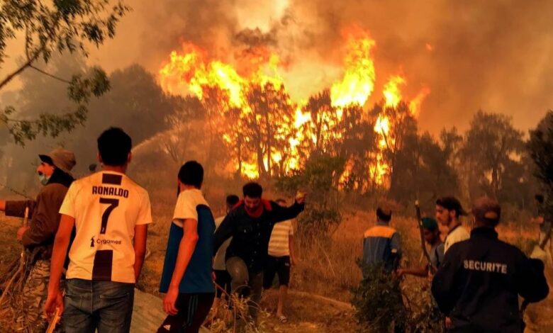 مقـ ـتل 10 عسكريين وإصابة 25 آخرين جراء حرائق الغابات في الجزائر