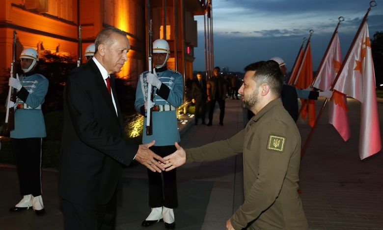 محادثات ثنائية بين أردوغان وزيلينسكي في إسطنبول