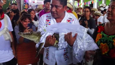 رئيس بلدية بالمكسيك يتزوج من أنثى تمساح؟!