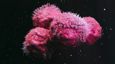 تقنية الطباعة الحيوية ثلاثية الأبعاد للعلاج المناعي للسرطان