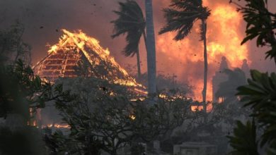 ارتفاع حصيلة قتـ ـلى حرائق الغابات في هاواي