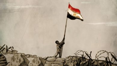 مِصر تُحذر من بروباغاندا «إسرائيل» المضللة و الخطيرة !