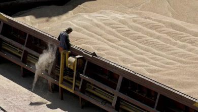 اتفاق روسي تركي لتوريد مليون طن من الحبوب