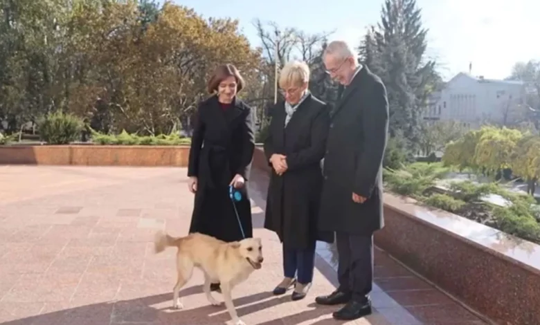 رئيس دولة أوروبية يتعرض لـ«عضة كلب»