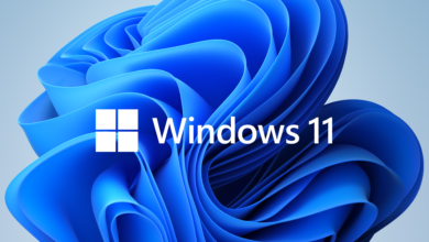 Windows11