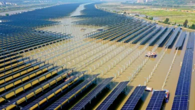 الصين ترفع الإنتاج العالمي من الطاقة المتجددة بـ50% في 2023
