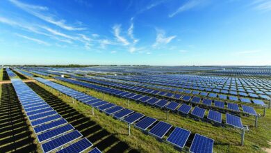 الطاقة الشمسية تنقذ الزراعة في الحسكة