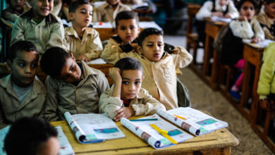 المدارس المصرية