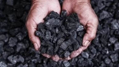الصين تسيطر على إنتاج الفحم عالمياً..النفط إلى أين؟