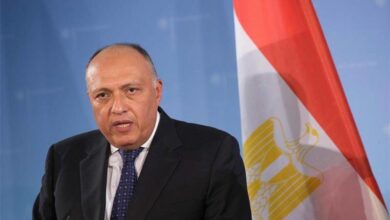 مصر تكشف سبب وقف مشاركتها بمباحثات سد النهضة