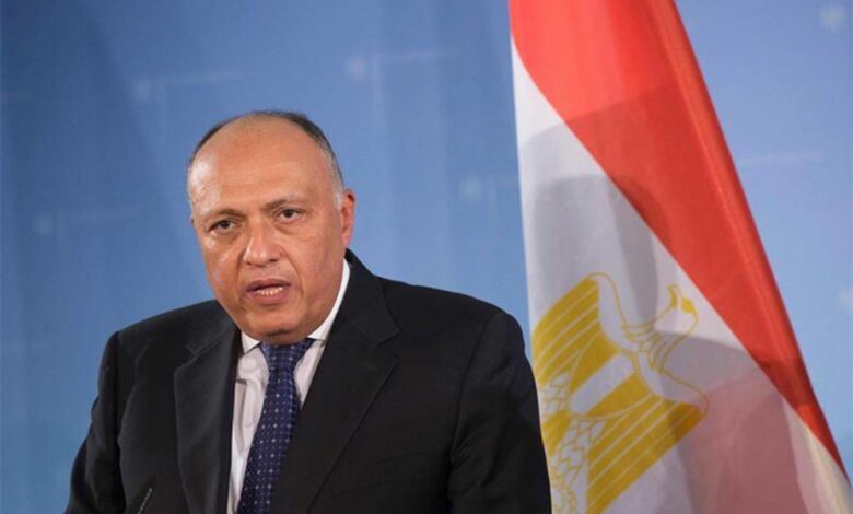 مصر تكشف سبب وقف مشاركتها بمباحثات سد النهضة