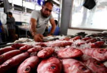 بعد الأسماك.. المصريون يطلقون حملة "مقاطعة اللحوم"