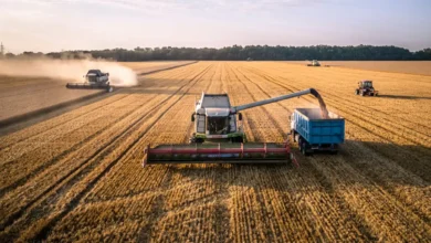 روسيا تستحوذ على ربع سوق القمح العالمية