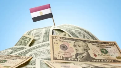 مبلغ فلكي للاستثمارات العربية المباشرة في الاقتصاد المصري